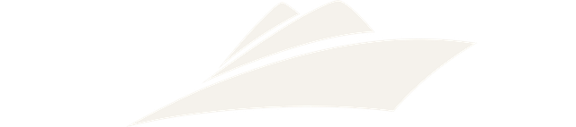 赛能 logo
